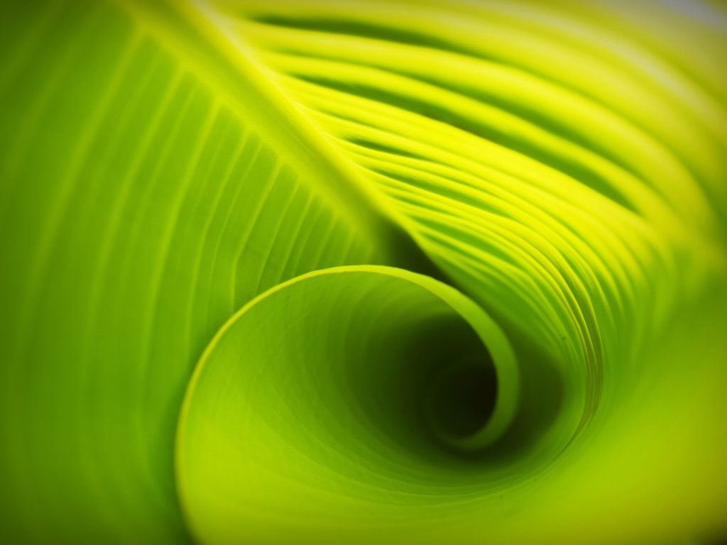 Visuel la marque symbole 1